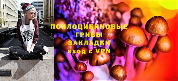 индика Алексеевка