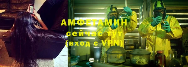 индика Алексеевка