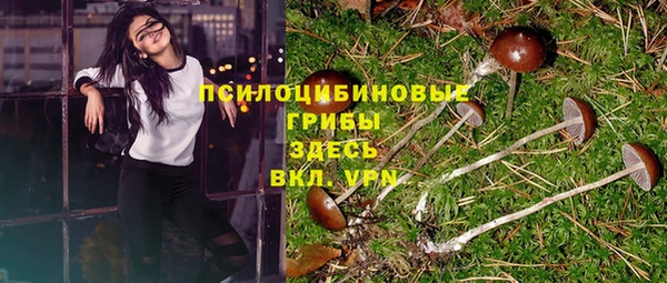 индика Алексеевка
