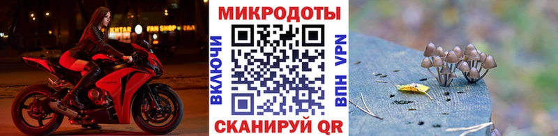 Галлюциногенные грибы GOLDEN TEACHER  Купить  Канаш 